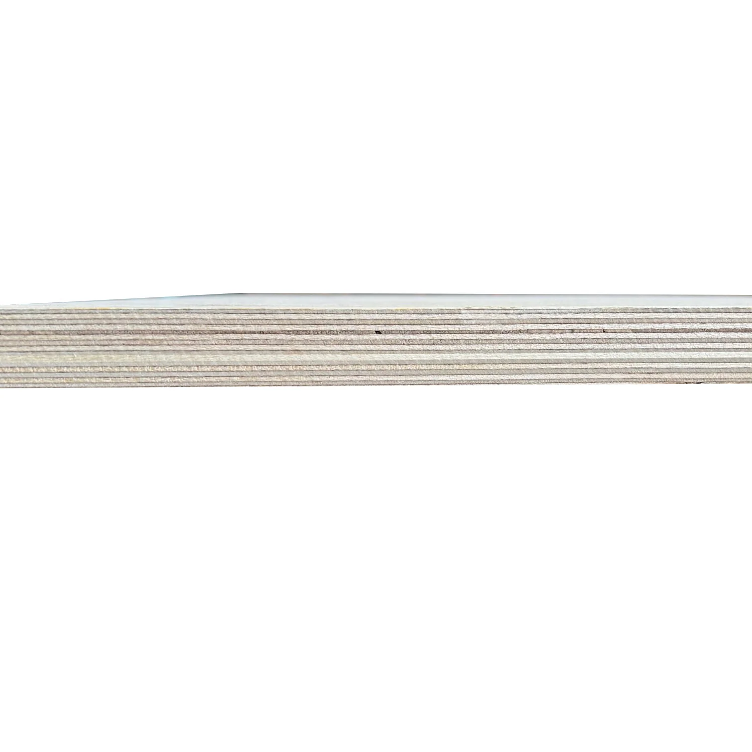 Birch Plywood 24mm x 2440x1220 - By Nilam - Image 3