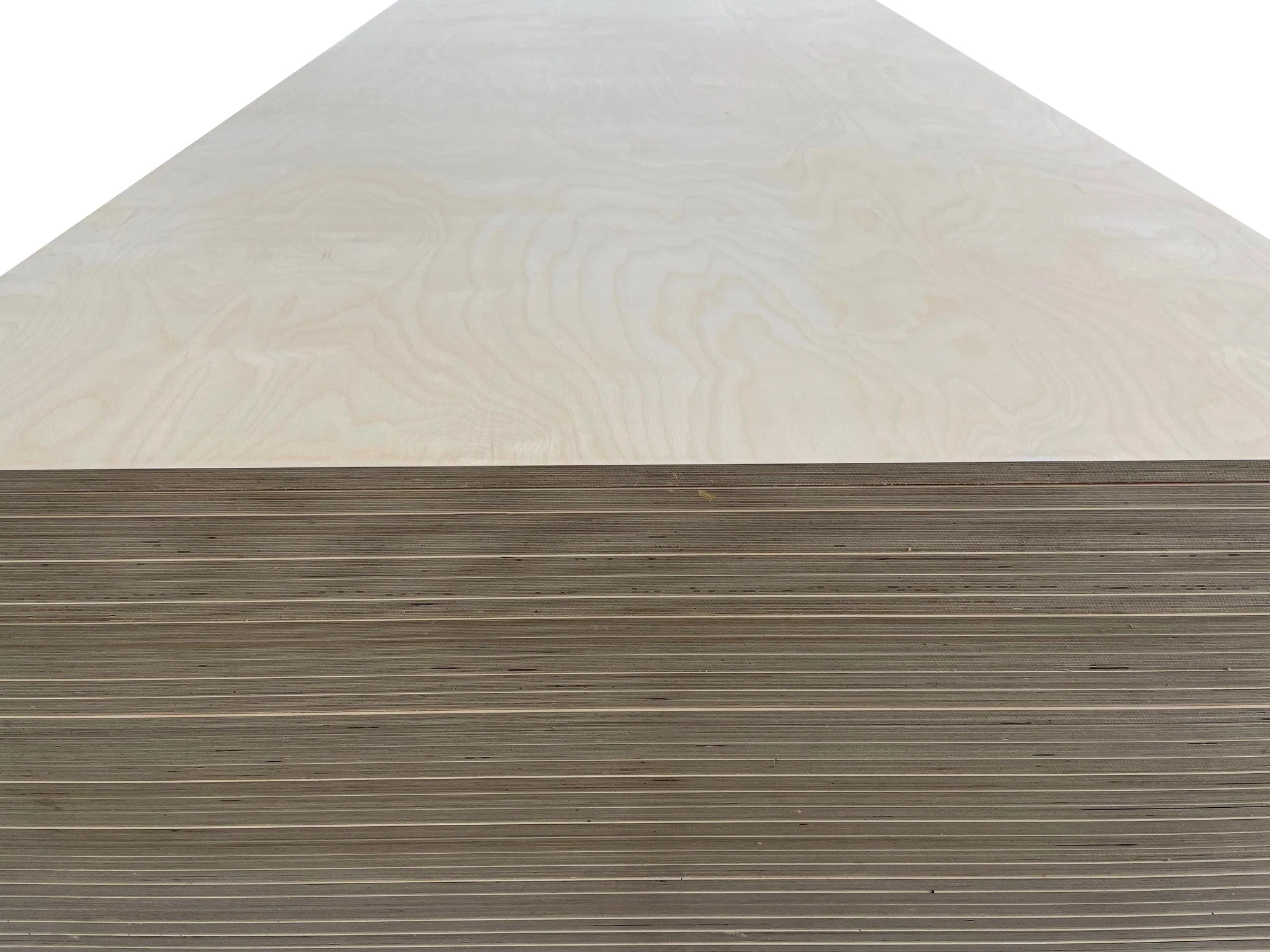 Birch Plywood Sample - Image 3