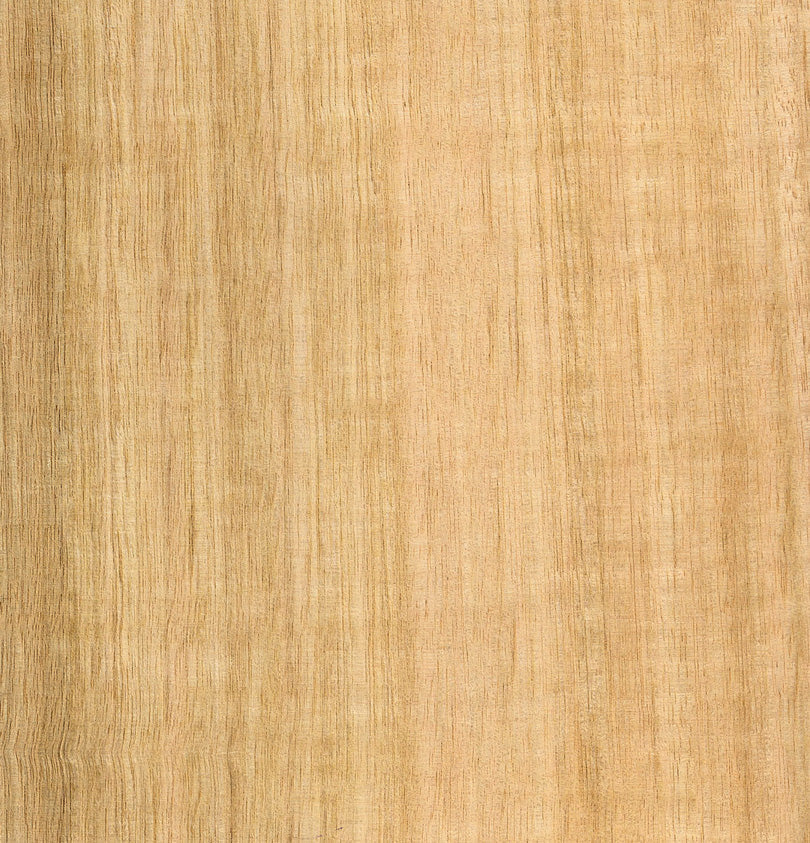 Tasmanian Oak Veneer Edging 29x0.4mm Pre-Glued - 50m